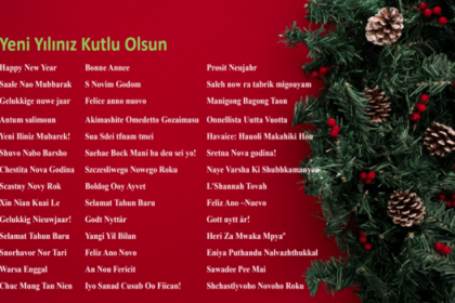 YENİ YILINIZ KUTLU OLSUN!  MERRY CHRISTMAS & HAPPY NEW YEAR!